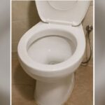 wc-hace-gorgoteos