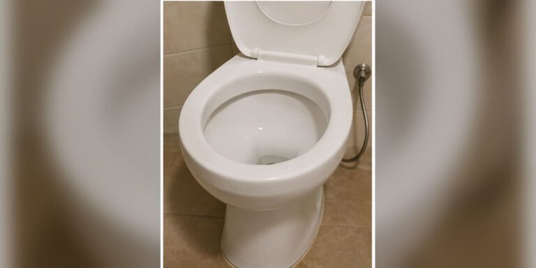 wc-hace-gorgoteos
